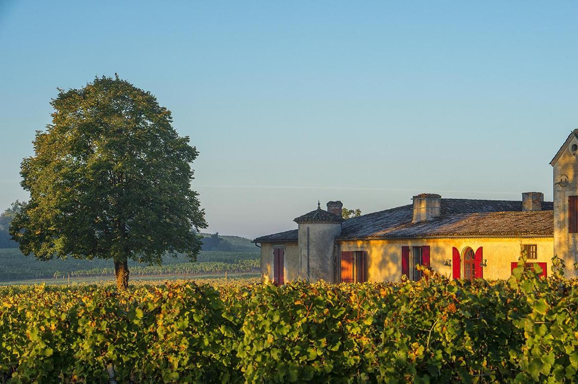 Chateau Sigalas Rabaud Bommes Kültér fotó